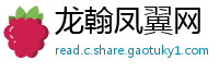 龙翰凤翼网